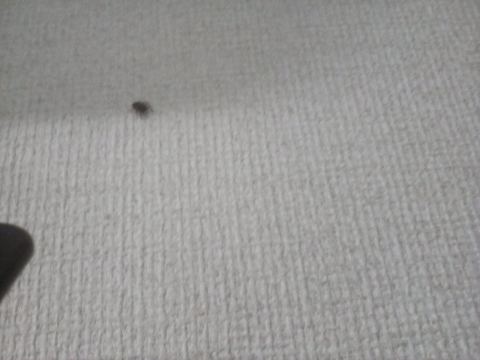 3枚目