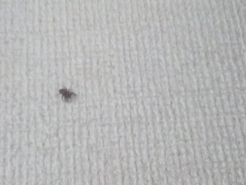 2枚目